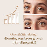 Browgame Signature Brow roller