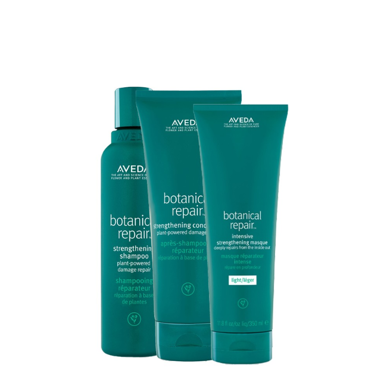 Aveda Botanical Repair Strengthening Essentials Copack