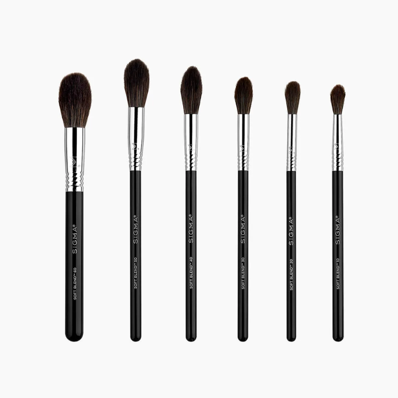 Sigma Beauty  Soft Blend Brush Set