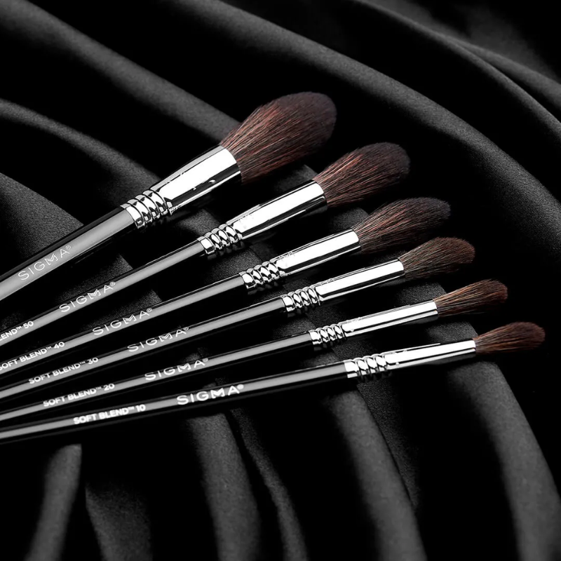 Sigma Beauty  Soft Blend Brush Set